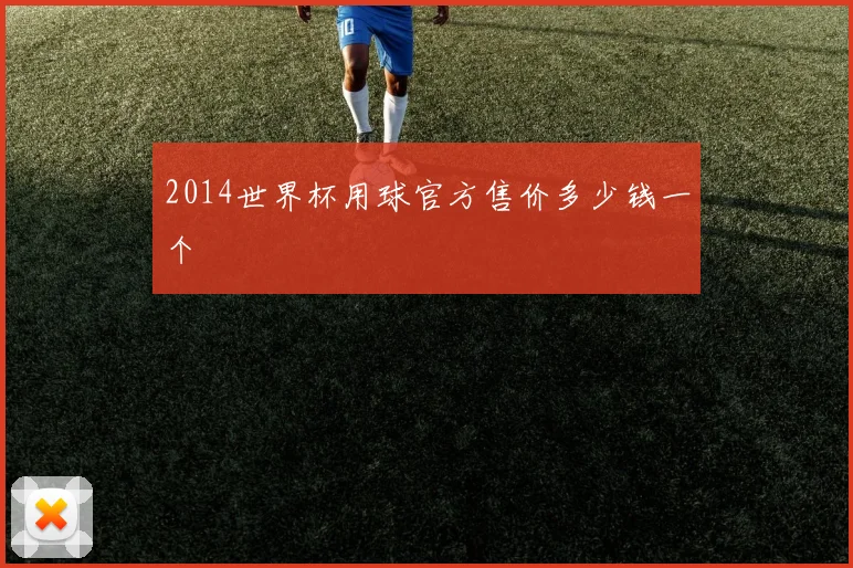 2014世界杯用球官方售价多少钱一个