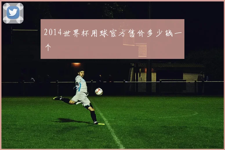 2014世界杯用球官方售价多少钱一个