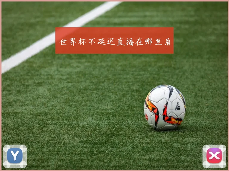 世界杯不延迟直播在哪里看