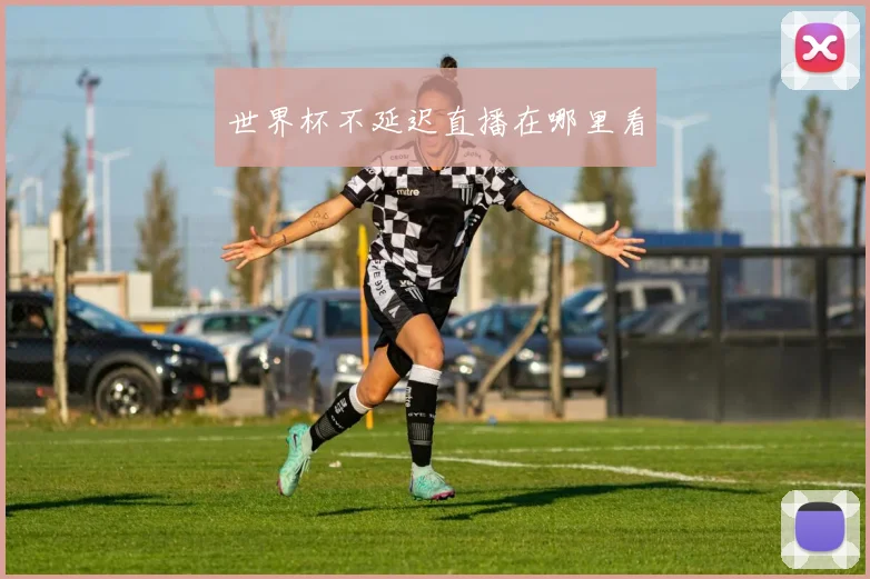 世界杯不延迟直播在哪里看