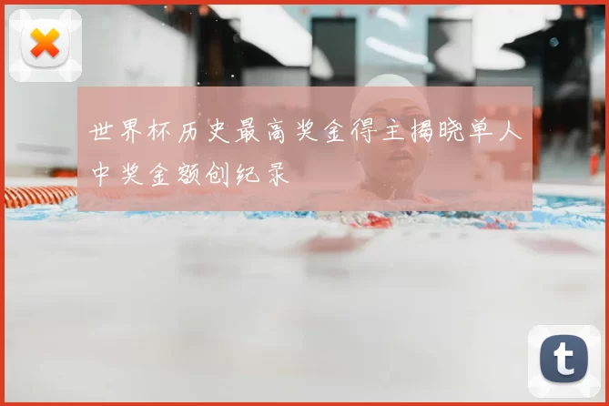 世界杯历史最高奖金得主揭晓单人中奖金额创纪录