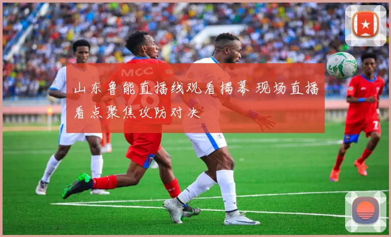 山东鲁能直播线观看揭幕 现场直播看点聚焦攻防对决